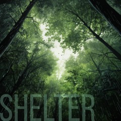 Shelter (naviarhaiku518)