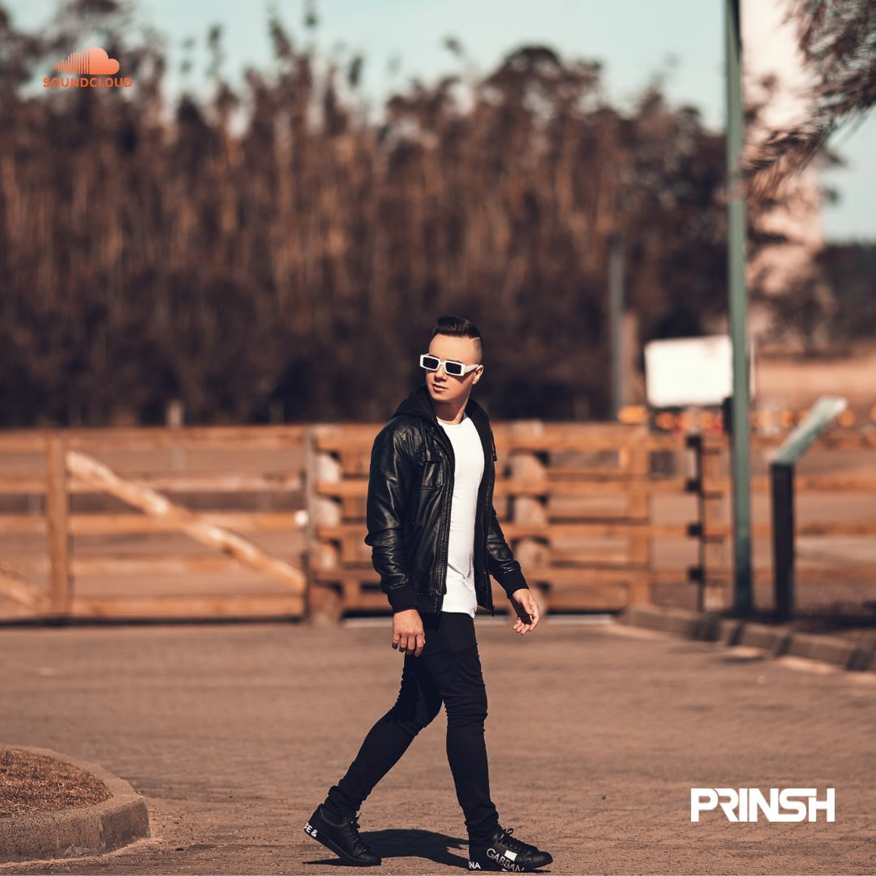 PRINSH PodCast