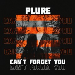 Can`t forget you