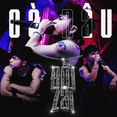 Đời Zai - Cà Nâu