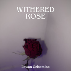 Withered Rose