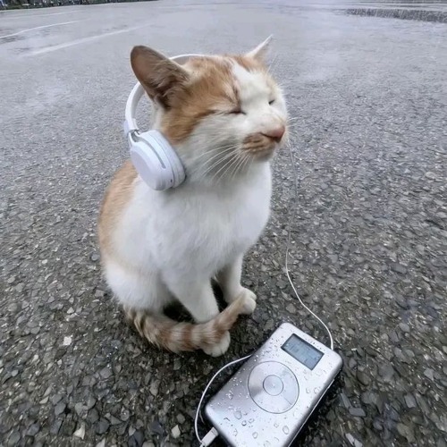 Not taking him seriously freestyle (prod mahxltxl)