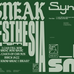 DJ Sneak - You know what I mean?