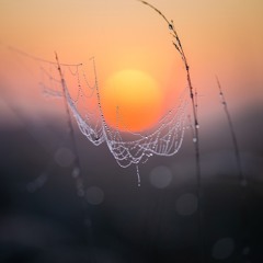 ~Mystiq ~😉 There are two ways of spreading light: to be the candle or the mirror that reflects it…