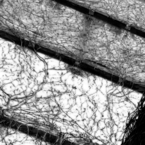 And On We Go Differently