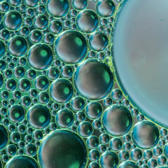 ACidContrapunctus 1 (in Emaj)