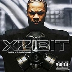 Xzibit - Lose my mind (Dr Evo Remix)