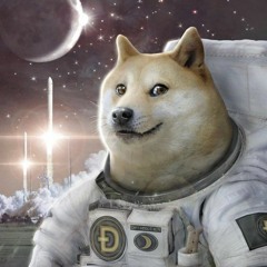 Dogecoin To The Moon [downtempo / electronic mix 2021]