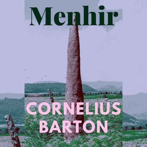 Menhir / Standing Stone