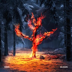 Discography