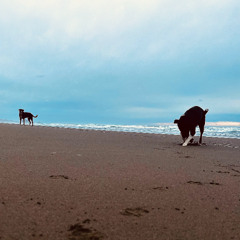 Only The Lucky Grow Old (Rough Demo)