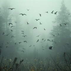 ̶F̶A̶L̶L̶I̶N̶G̶