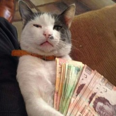 le peleo para entretenerla