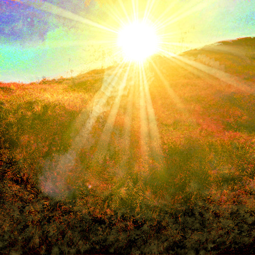 “Fields of Light”