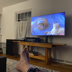 29 whatever you’d like to put on