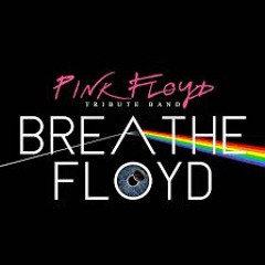 Pink Floyd - Breathe (cover)
