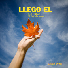 LLEGO EL FINAL