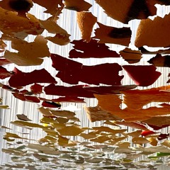 Tabula Rosa & Nils - now and ready