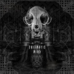 Vigena & KromaCore Enigmatic Mind