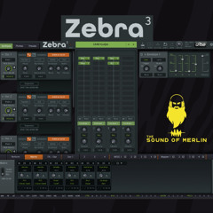 Zebra 3 String Section 2