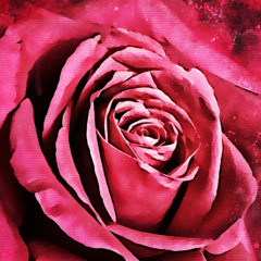 sin-cerity ( ft. CHOP556Z )