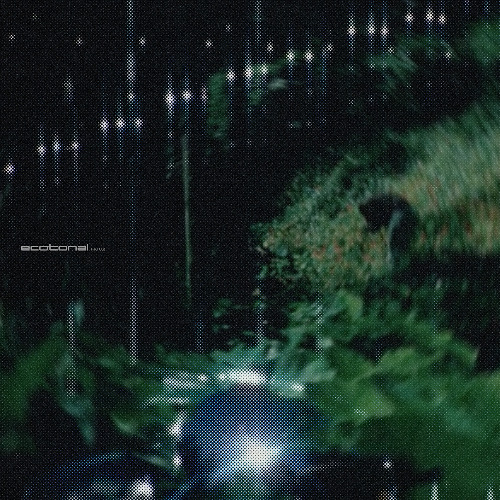 Paul Cut - Ecotonal