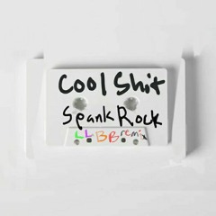 Cool Shit - Spank Rock (LLBB Remix)