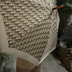 DIOR UMBRELLA