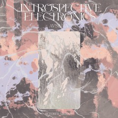 Introspective Electronics w/ Alicia - 14th November 2024