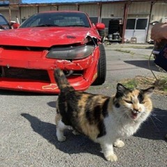 Vogue bitch