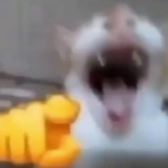 squabble up but the beat is Hollaback Girl