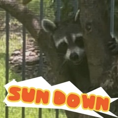 Sun Down