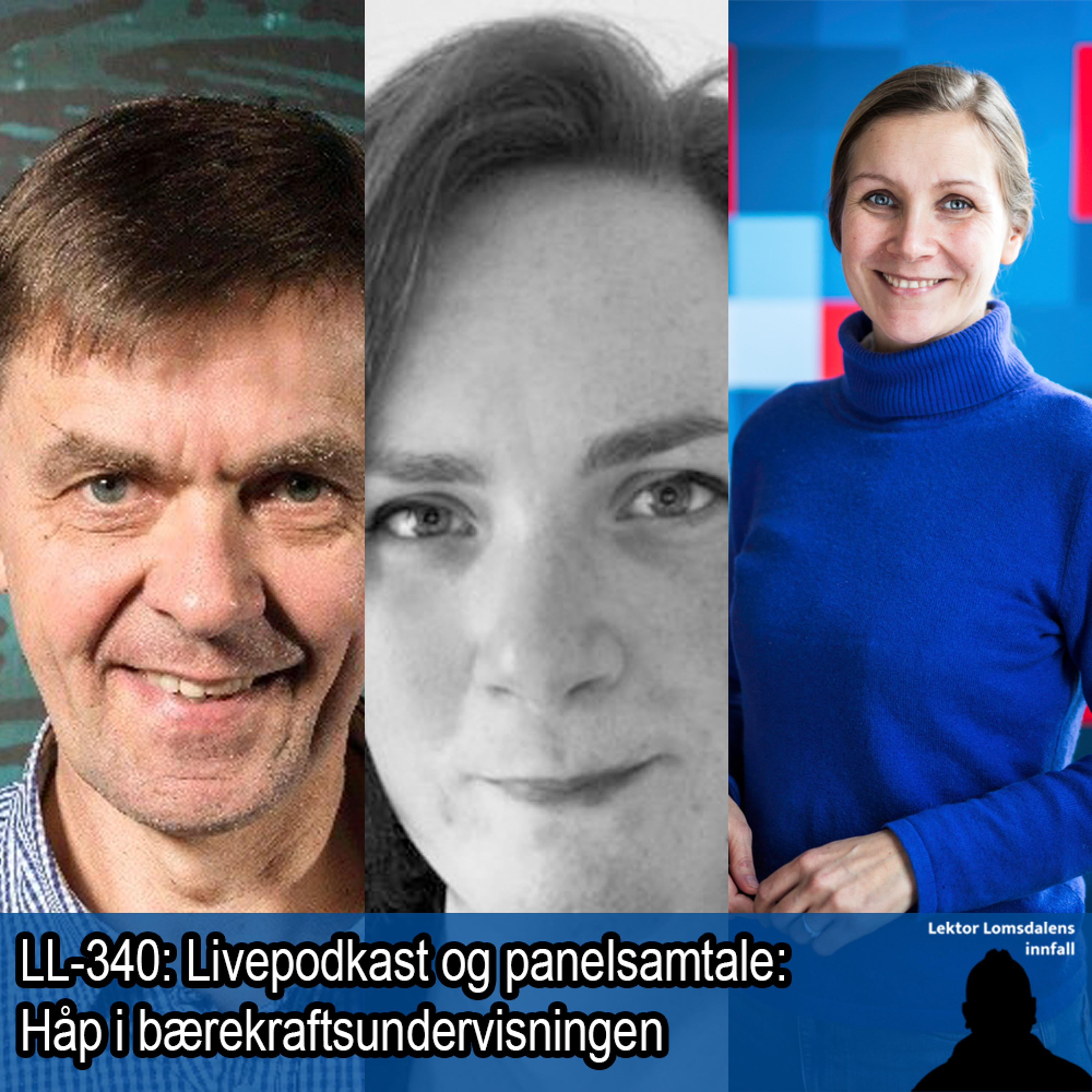 Lektor Lomsdalens innfall