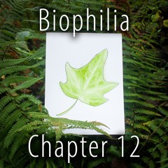 Biophilia - Chapter 12