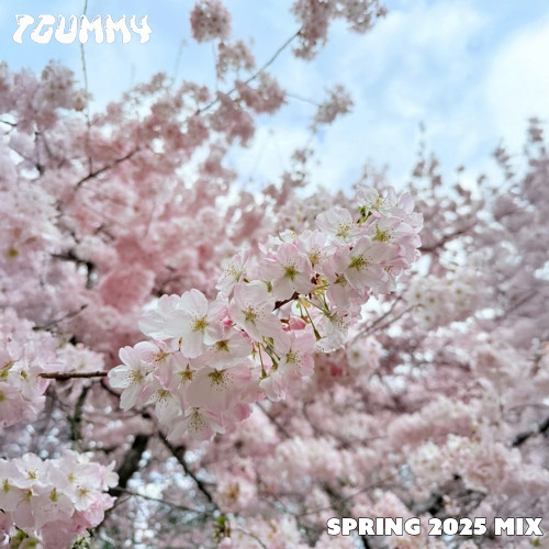 Spring 2025 Mix