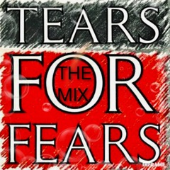 DJ NOBODY presents TEARS FOR FEARS "THE MIX"