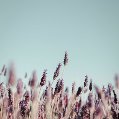 Field Journal Companion - Spring 2022