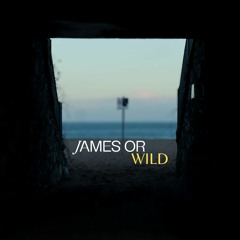 Wild