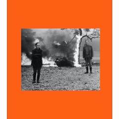 DET VI F*RLORADE I ELDEN