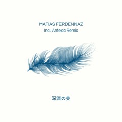 PREMIERE I Matias Ferdennaz - Polari (Anteac Remix) [Ferdennaz]