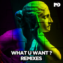 What U Want (Domenico Rondinelli Remix)