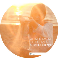 Another Dream (Acoustic Version) [feat. Goozelle]