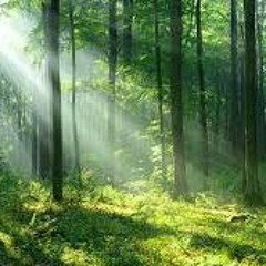 Orchestral Arabesque No2 by Debussy