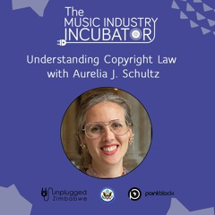 Understanding Copyright Law With Aurelia J Schultz
