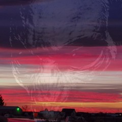 Untitled evol