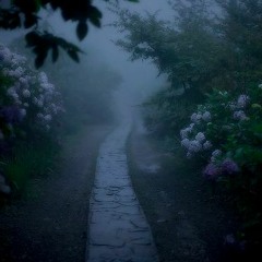 Slow ft Suziee (Prod. Joey)