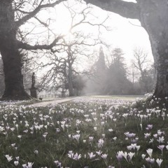 februarysgone
