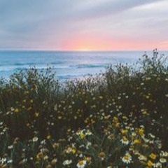 Secret Police MidoriP Arrange