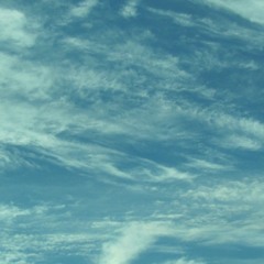 I'll Fly Away/You Are My Sunshine - (traditional) by Blair Briscoe and Bailey Burkhalter