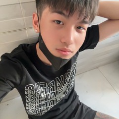 VIETMIX HOT 2025 - NGAM HOA LE ROI- NST